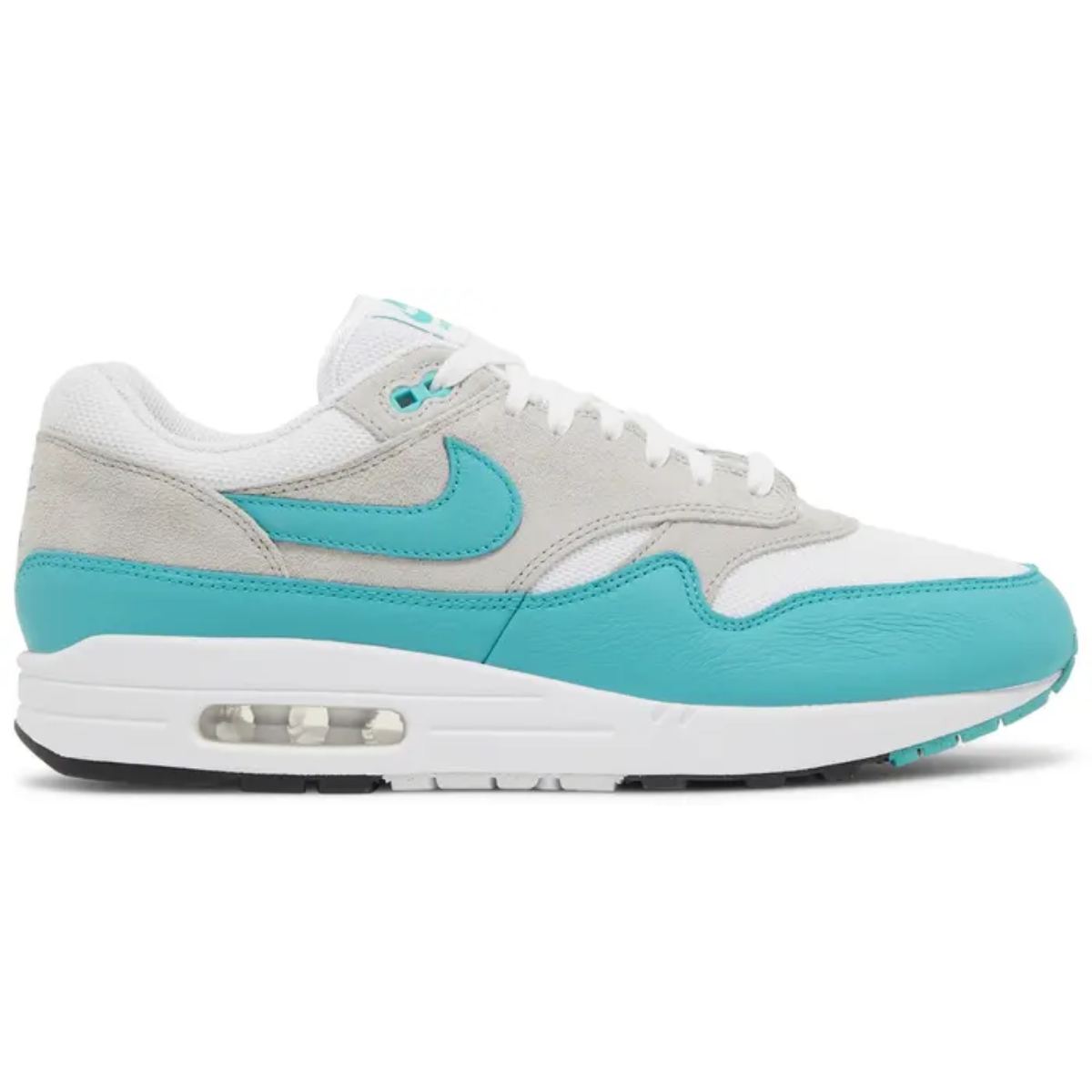 Nike Air Max 1 (Dusty Cactus)