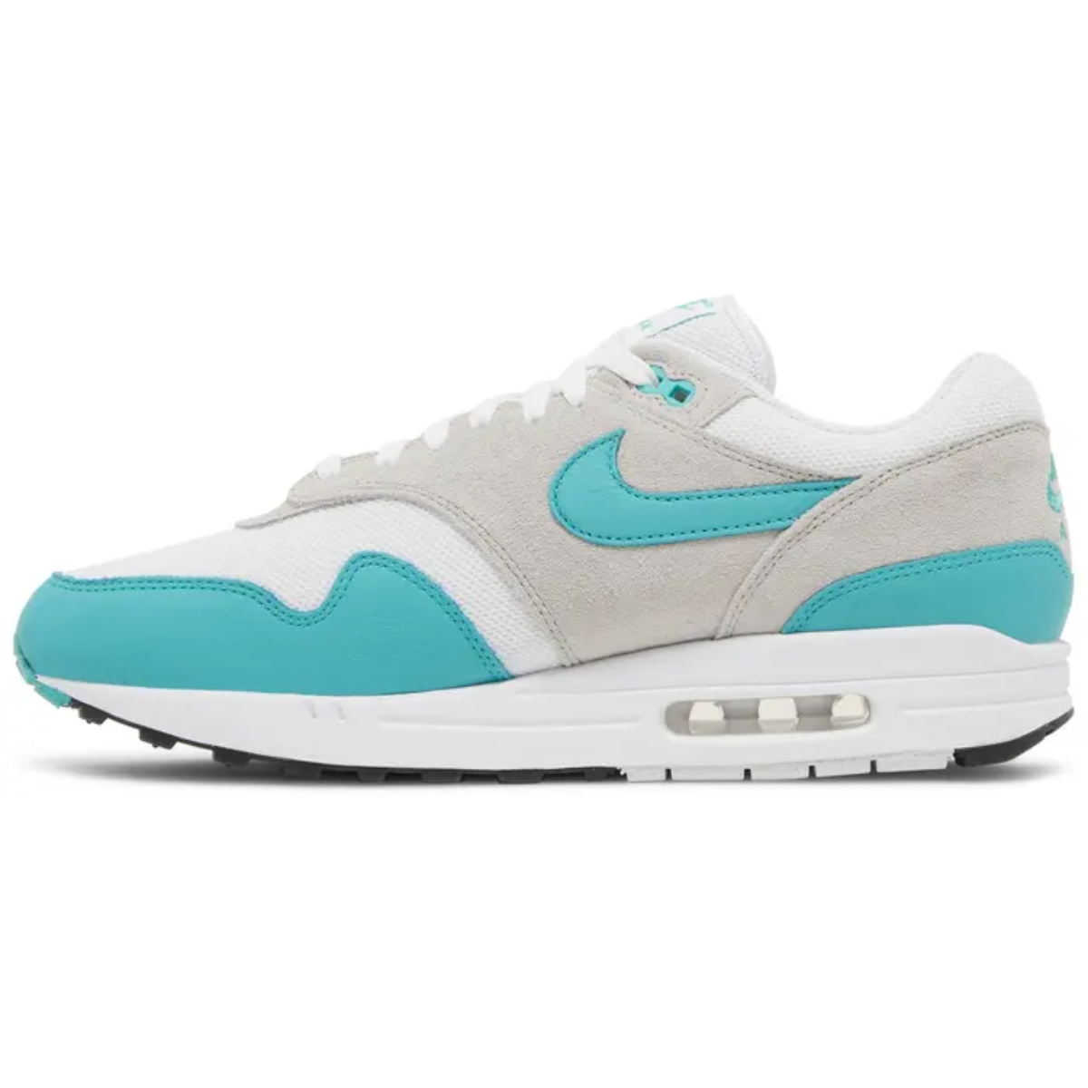 Nike Air Max 1 (Dusty Cactus)