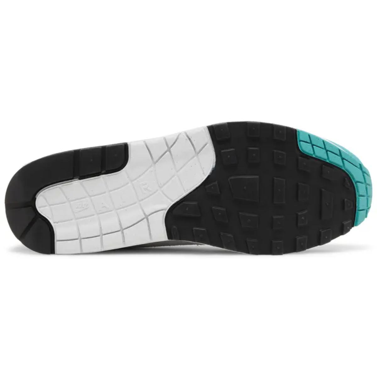 Nike Air Max 1 (Dusty Cactus)