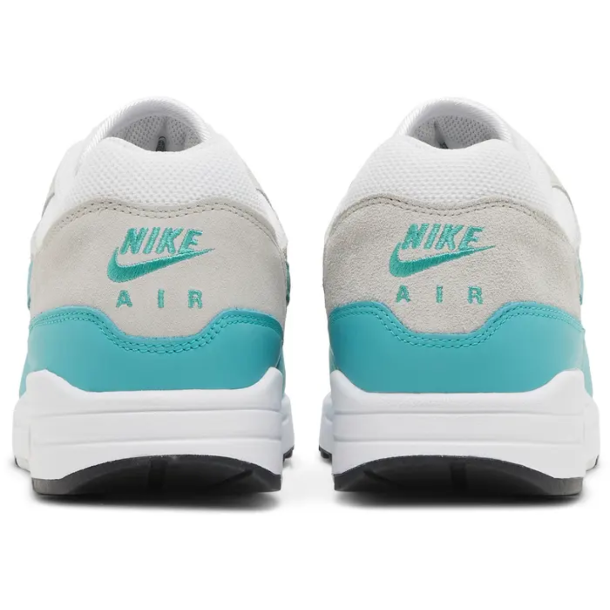 Nike Air Max 1 (Dusty Cactus)