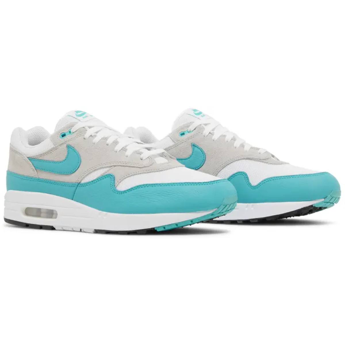 Nike Air Max 1 (Dusty Cactus)