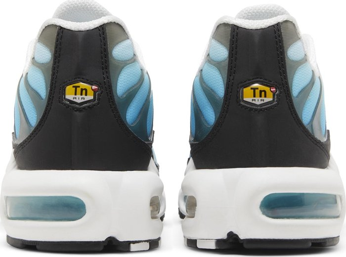 Nike Air Max Plus (Baltic Blue)