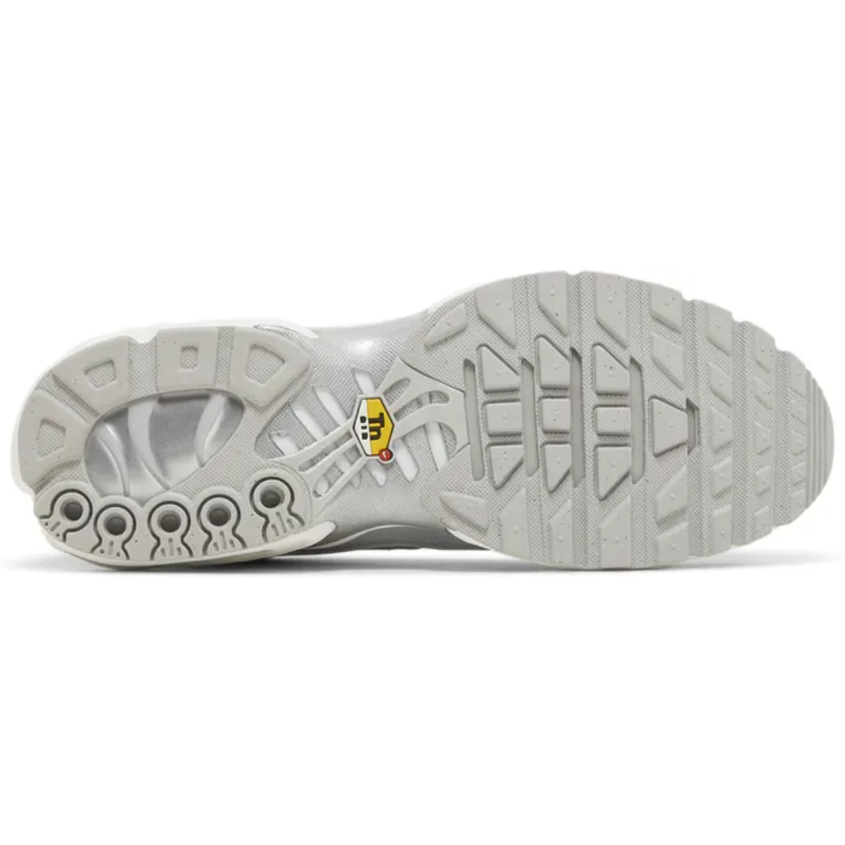 Nike Air Max Plus (Metallic Silver)
