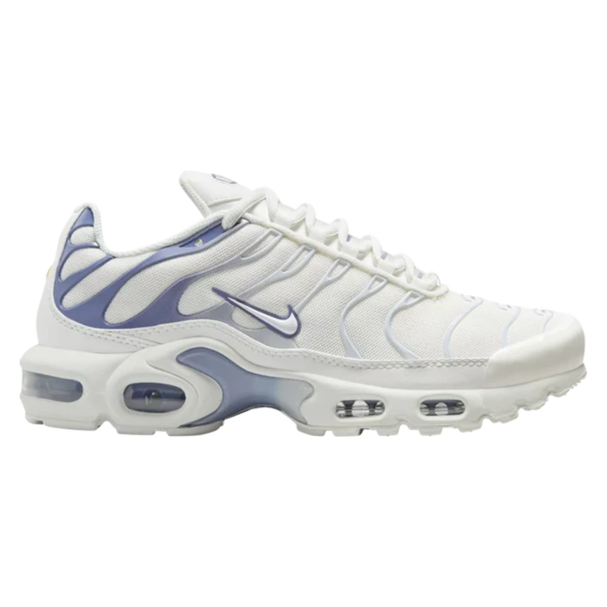 Nike Air Max Plus (Summit White/Ashen Slate)