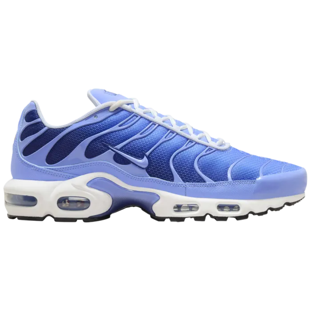 Nike Air Max Plus (Royal Pulse)